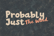 Midnight Pumpkin - Font Duo, a Sans Serif Font by Rillatype (Thumbnail 7 of 10)