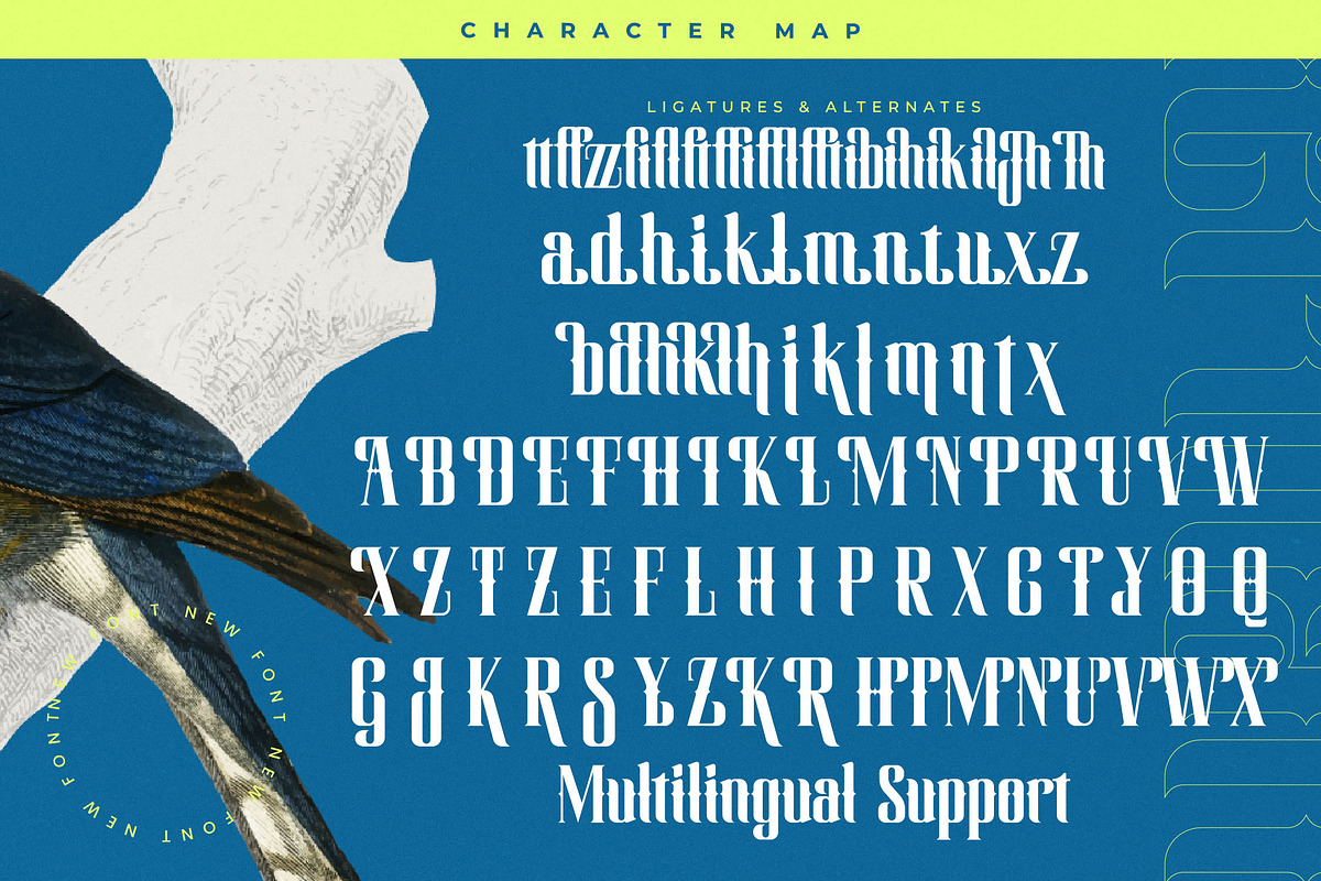 Hermatic - Modern Serif Display, a Script Font by timelesstype.co (Photo 19 of 20)