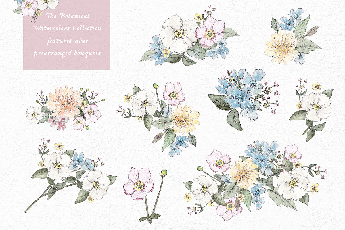 Botanical Watercolor Collection, an Illustration by Emerald & Ivy Studios (Photo 5 of 12)
