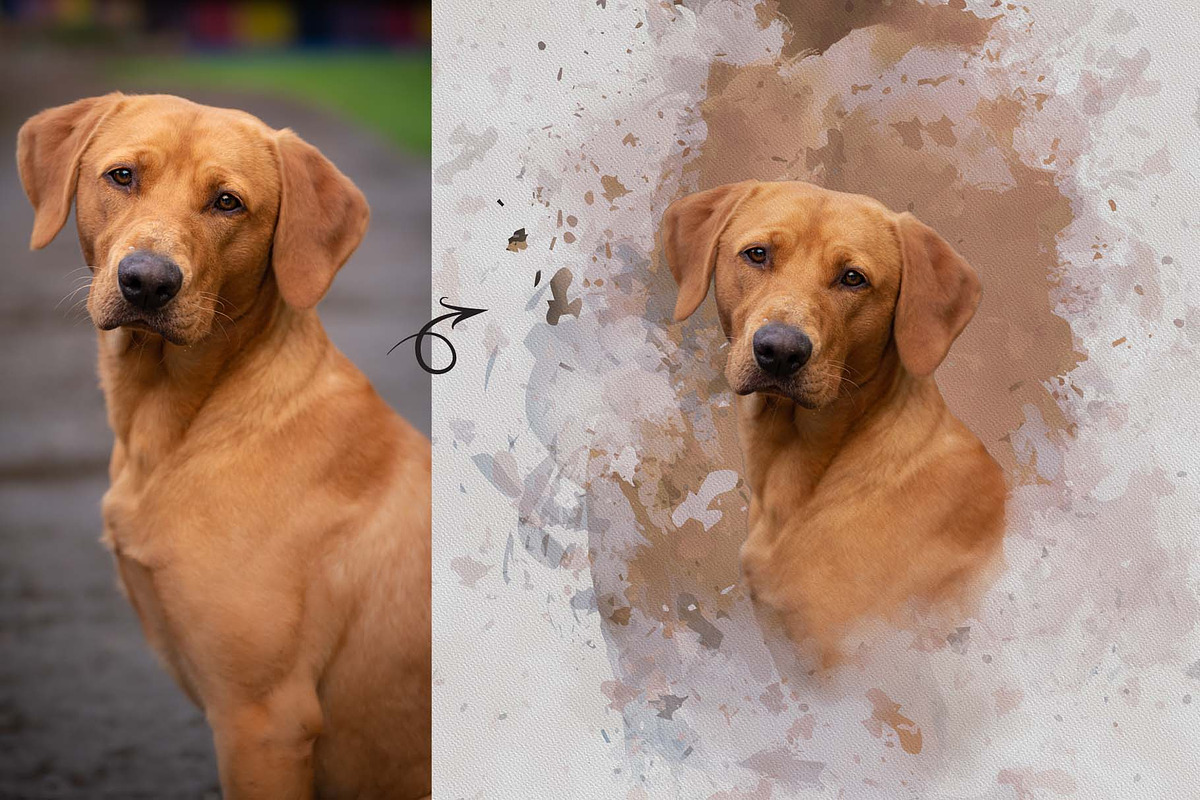 Personalized Digital Pet Portraits, an Action Add-On by MRI STUDIO (Photo 5 of 13)
