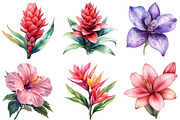 Tropical Watercolor Flower Bundle, an Illustration by Pixels.Craft (Thumbnail 4 of 8)