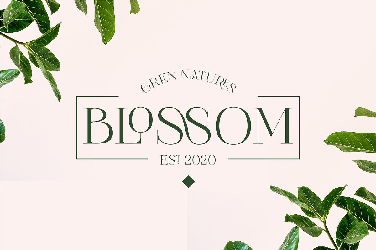 Vallura - Serif Display Font, a Sans Serif Font by Vesvocrea (Photo 2 of 9)