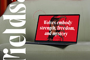 Tieldsa Bold Serif Display Font, a Serif Font by timelesstype.co (Thumbnail 3 of 20)