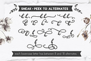 Biosha Font trio and extras, a Script Font by BlackCatsMedia (Thumbnail 4 of 10)