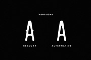 Redwood Font + Extras, a Sans Serif Font by Mikhail Fukurou (Thumbnail 4 of 5)