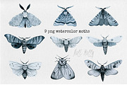 Moths. Watercolor set., an Illustration by Noli Molly Store (Thumbnail 2 of 8)