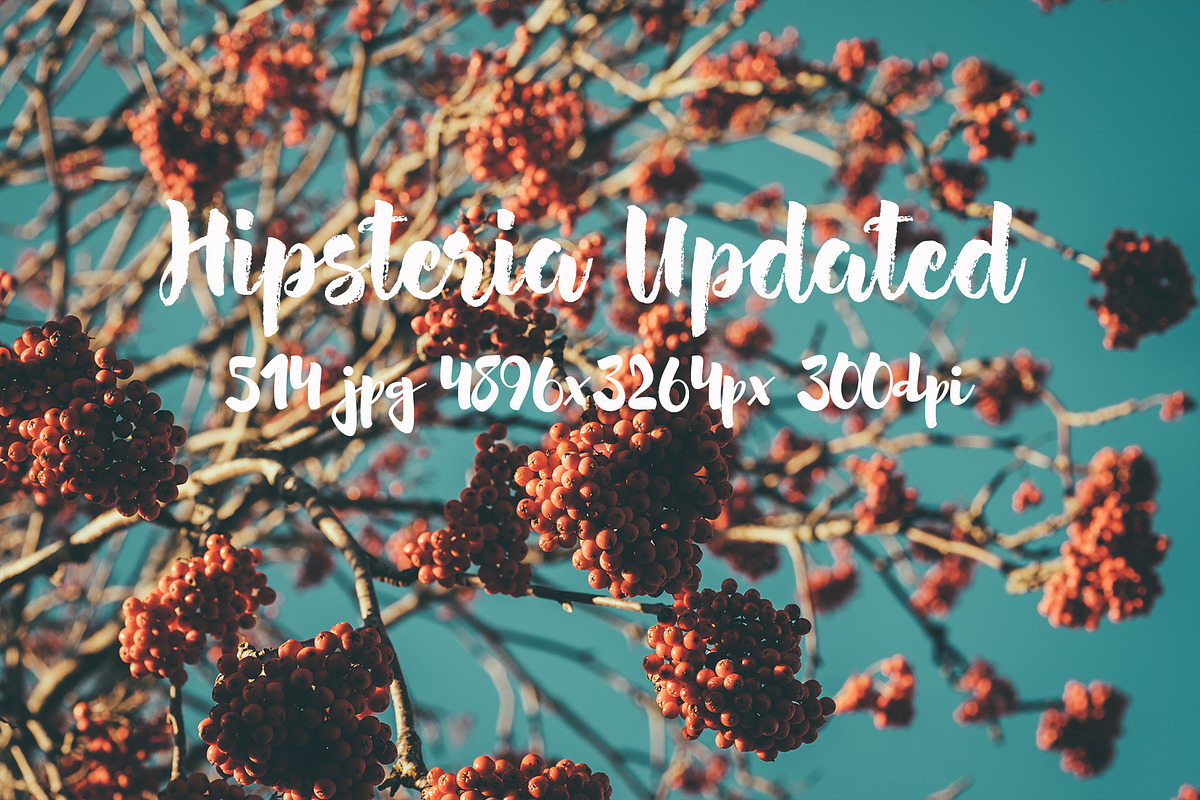 Hipsteria photo pack, a Templates & Theme by ApertureVintage (Photo 38 of 48)