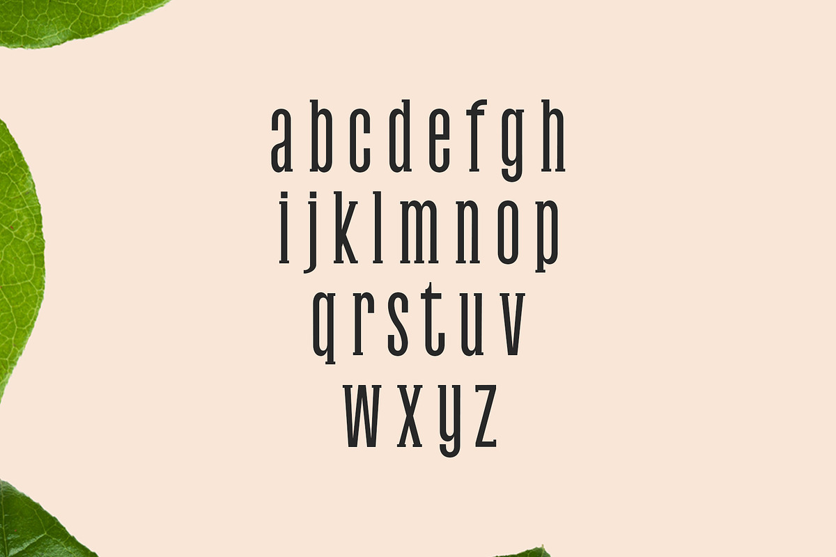 Galvin Slab Serif Font Family Pack preview 2