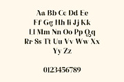 Syavie Giank - Font Duo, a Serif Font by Boril Std (Thumbnail 9 of 11)