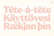 Peach Crush Serif Typeface, a Serif Font by Fenotype (Thumbnail 16 of 16)