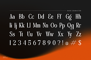 Elynior Katalis Display Elegant Font, a Serif Font by Denustudios (Thumbnail 13 of 15)