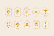 Organic logos, design elements, an Object Graphic by venimo (Thumbnail 6 of 8)