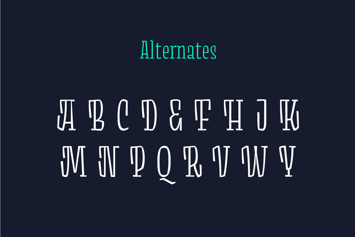 Minton52 font, a Serif Font by Yury Veselov (Photo 5 of 9)