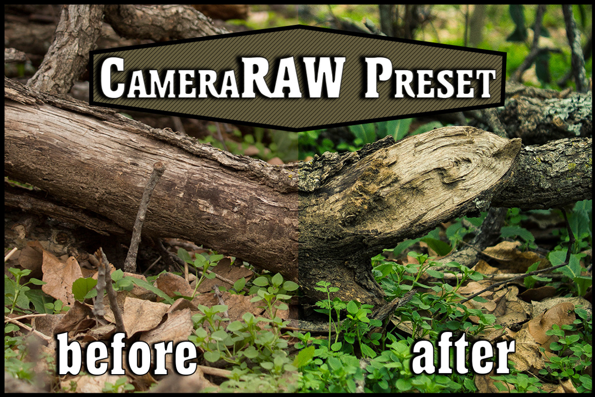 CameraRaw Preset ForestGreen, a Preset Add-On by NiccerPhotography (Photo 1 of 3)