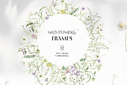 FIELD SYMPHONY- Flowers Collection, a Decorative Illustration by Les Frolova (Thumbnail 5 of 18)
