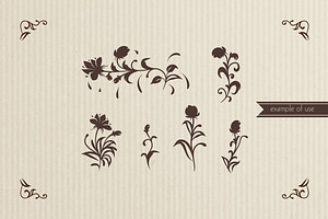 Floral Brushes Illustrator Set