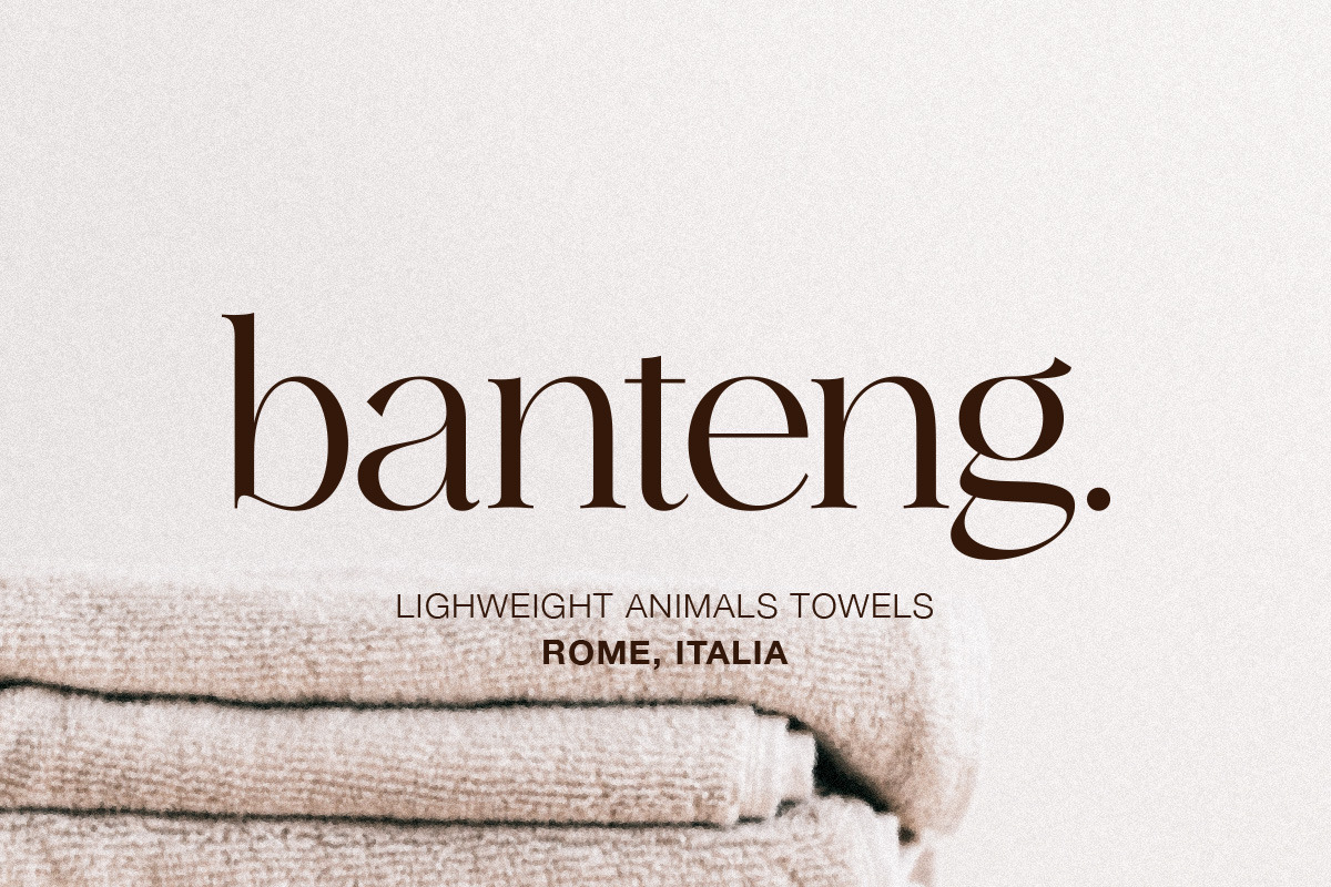 Ethereal - Elegant Serif Family, a Serif Font by Kereatype (Photo 4 of 10)