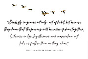 Zoitelia - Modern Signature Font, a Script Font by Megatype (Thumbnail 4 of 11)
