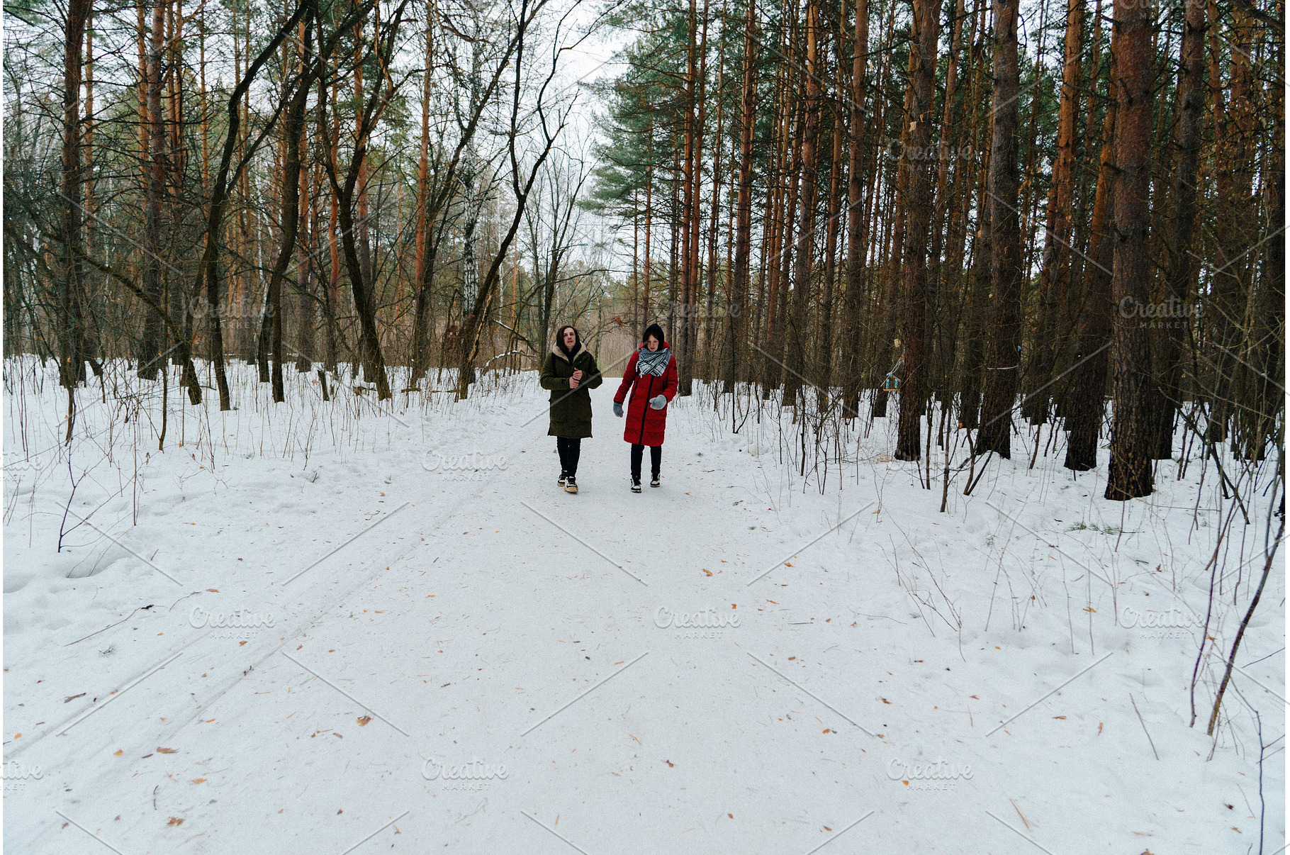 In a tranquil winter setting, two, a Nature Photo by darksoul72