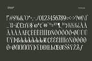Vienna Modern Serif Font, a Serif Font by Fortunes Co (Thumbnail 11 of 15)