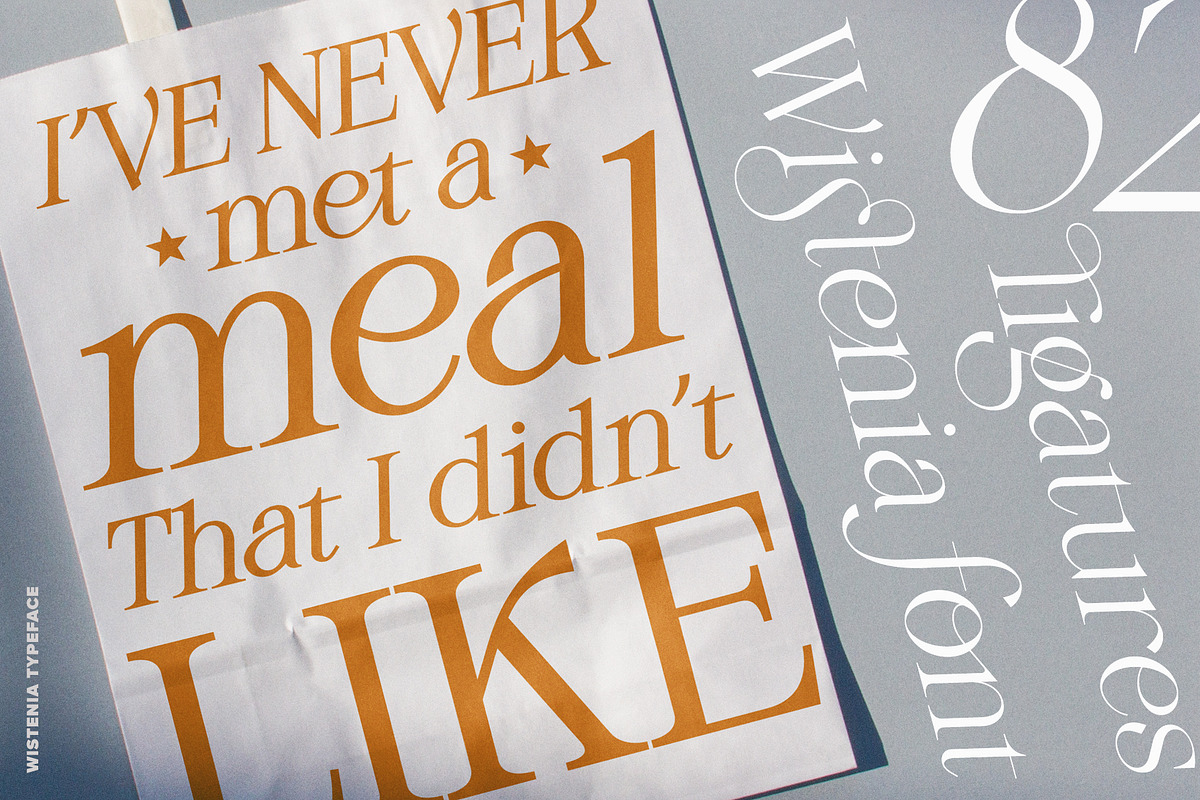 Wistenia Typeface, a Serif Font by Ivan Rosenberg (Photo 12 of 18)