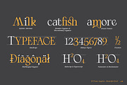El Fonte Angelia | Ligature Serif, a Serif Font by Gilar Studio (Thumbnail 3 of 11)