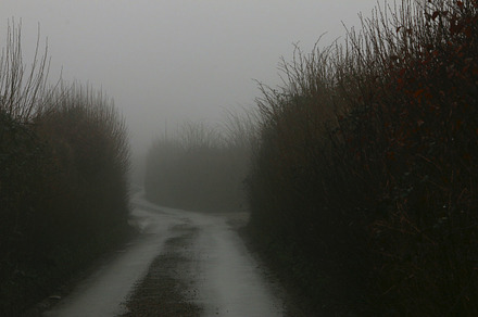 Winding foggy country road