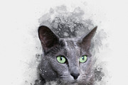 Modern photo effect for photoshop, an Action Add-On by MRI STUDIO (Thumbnail 3 of 8)