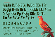 Rakizen Bisrony — Modern & Classic, a Serif Font by Enxyclo Studio (Thumbnail 18 of 23)