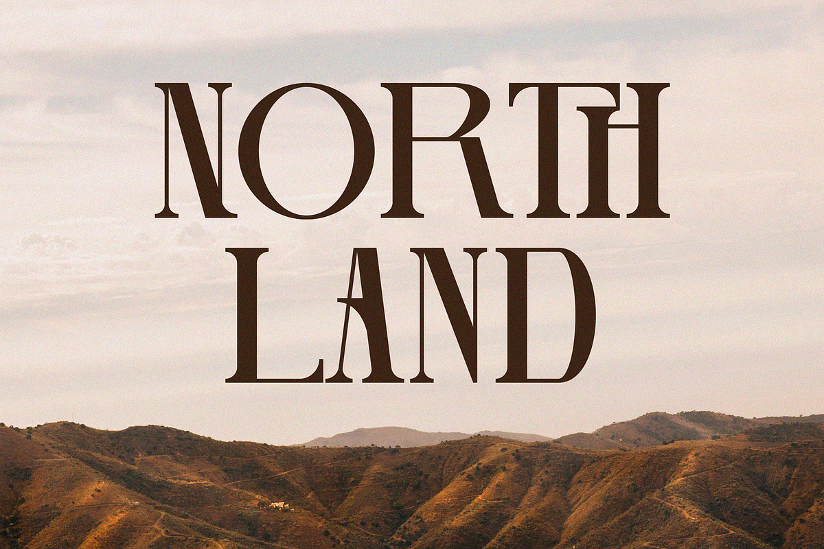 Lamoonze - Serif Display Font, a Serif Font by Randi Irvan | Rvandtype (Photo 2 of 14)