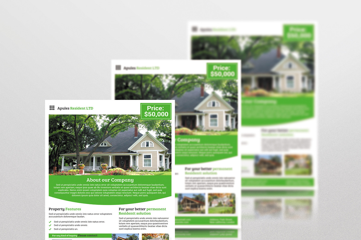 Real Estate Flyer, a Flyer Template by DGTouch (Photo 2 of 4)