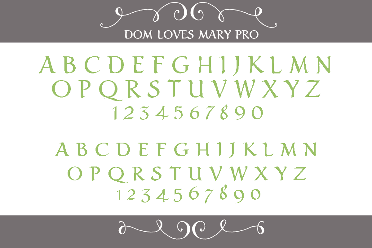 Sale-Dom Loves Mary Text Font preview 2