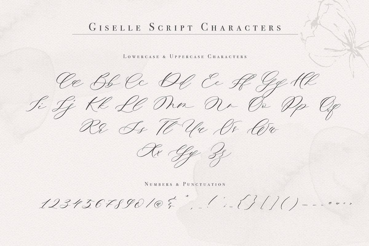 Giselle Script, a Script Font by Calamar Studio (Photo 15 of 19)