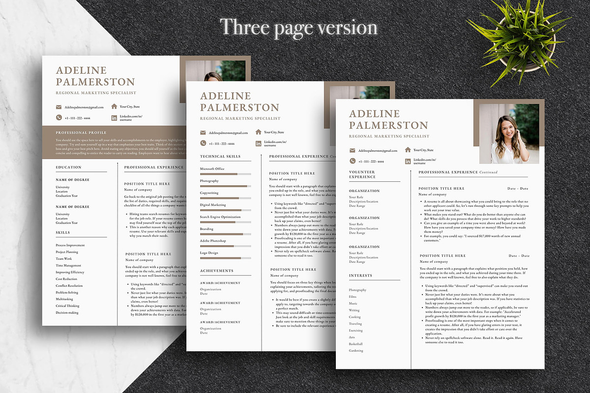 Professional Canva CV Template Pack, a Resume Template by Lux Resume (Photo 3 of 9)