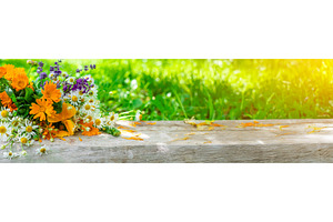 Wild plants and flowers. Selective, a Nature Photo by yanadjana