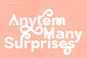 Poppis - Branding Logo Typeface, a Sans Serif Font by AuthenType (Thumbnail 11 of 15)