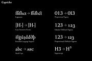 Capricho, a Serif Font by Hoftype (Thumbnail 14 of 14)