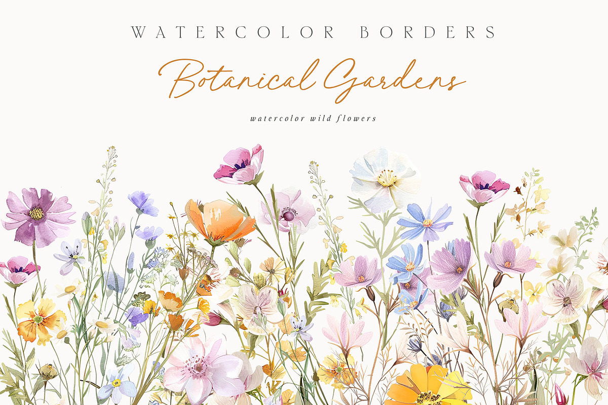 New! Wild Flowers Edition, a Seasonal Illustration by Isabelle Salem (Photo 19 of 155)
