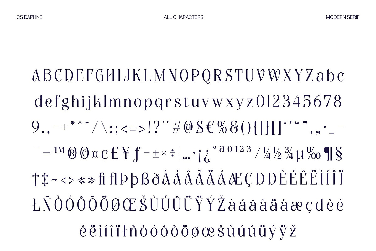 CS Daphne – Contemporary Font, a Serif Font by Craft Supply Co. (Photo 8 of 8)