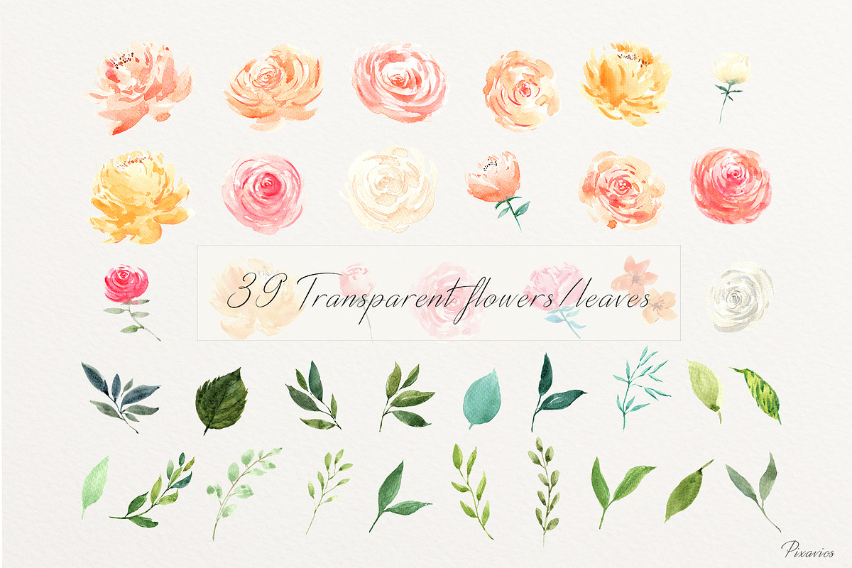Watercolor Floral Set - Charming, an Illustration by Pixavics (Photo 4 of 9)