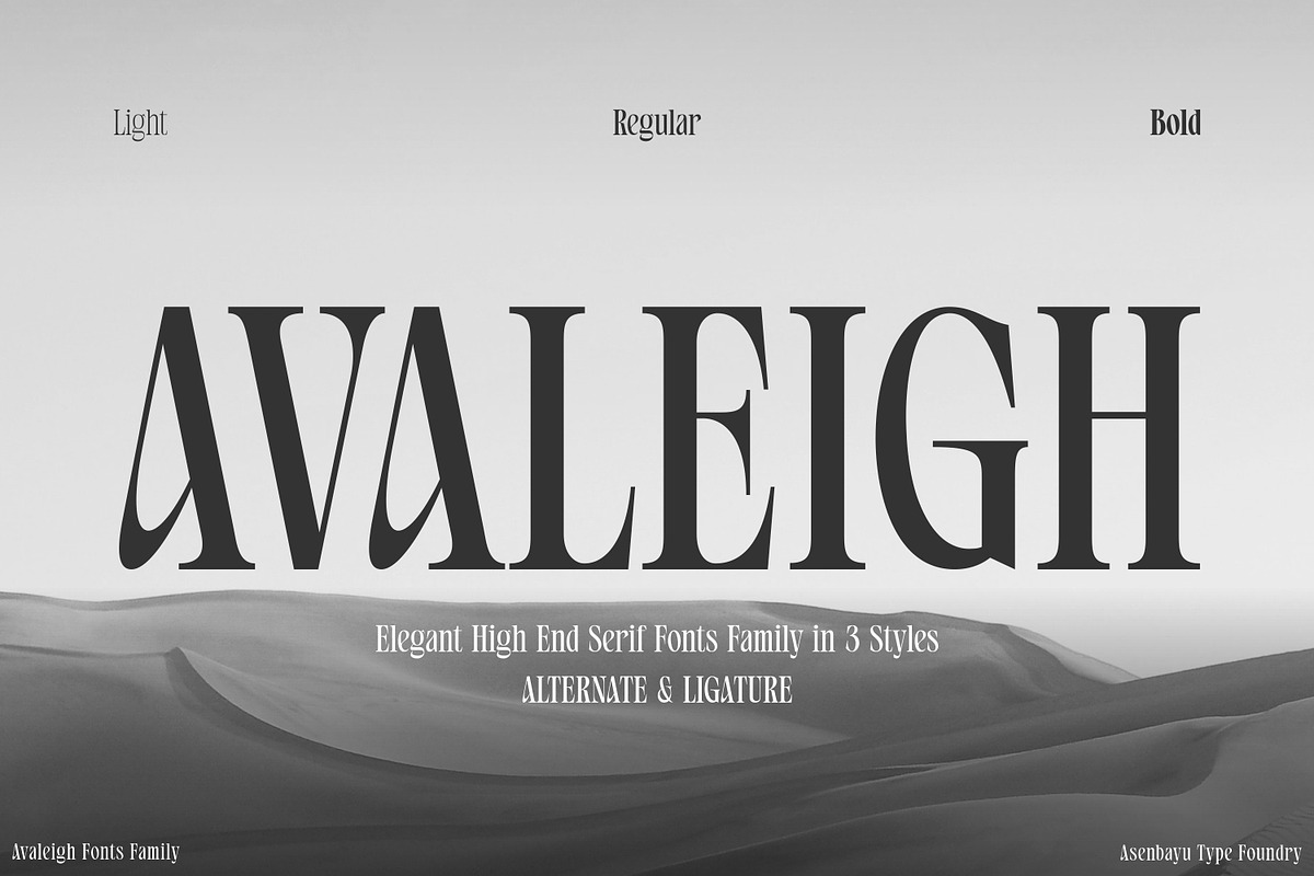 Avaleigh Fonts Family, a Serif Font by Asenbayu (Photo 1 of 14)