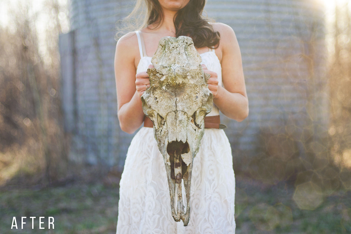 Sunshine Photography Overlays Vol. 1, a Layer Style Add-On by Ashley Alexandra Design (Photo 20 of 21)