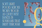 CS Quinary – Condensed Font, a Serif Font by Craft Supply Co. (Thumbnail 2 of 8)