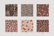 Animal skin, a Pattern Graphic by GALAKAM (Thumbnail 3 of 12)