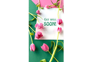 Pink tulips on green and pink, a Photo by tilialucida