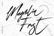 Magnolia Frost | Handwriting Font, a Script Font by Ardana Creative (Thumbnail 1 of 12)
