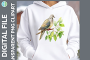 Bird Illustration Bundle, 21 PNG, an Animal Illustration by Enliven Designs (Thumbnail 4 of 8)