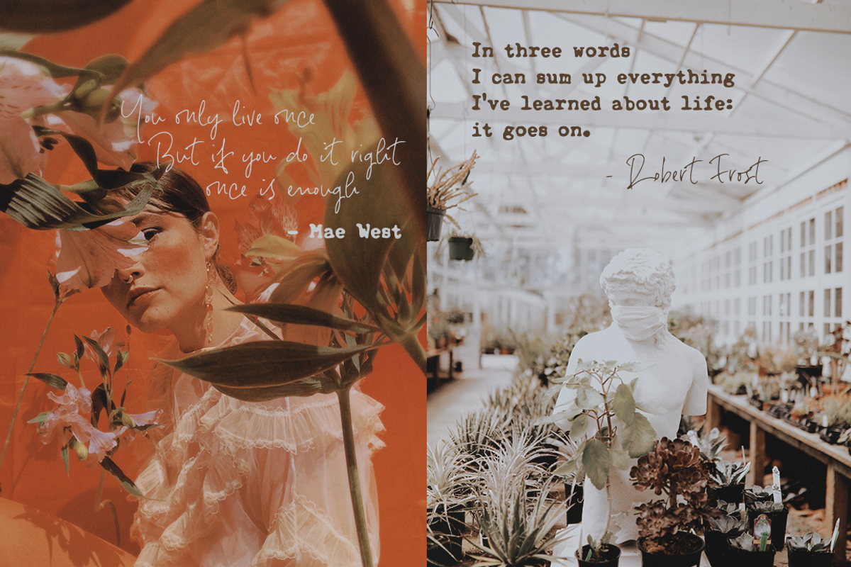 Notes And Quotes Font Duo, a Serif Font by Ana's Fonts (Photo 4 of 11)