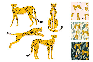 Collection Of Leopards And Patterns.