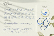 The Virnature Nature Script, a Script Font by alit design (Thumbnail 5 of 18)